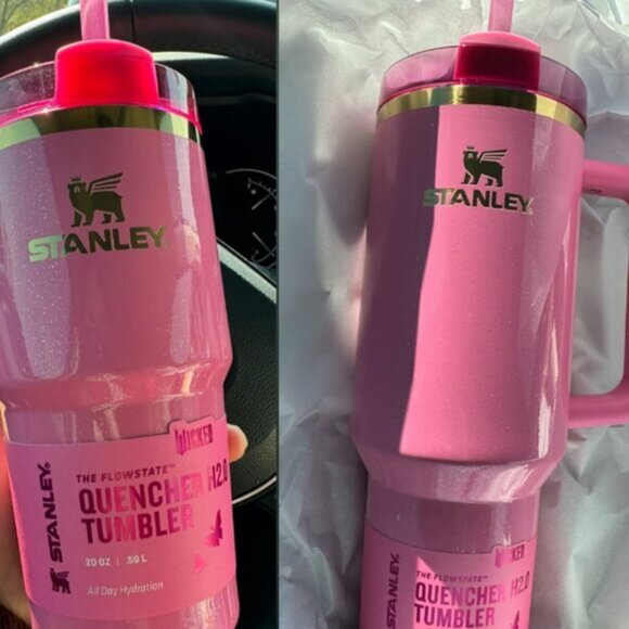 Wicked Stanley cup - Picture 2 of 5